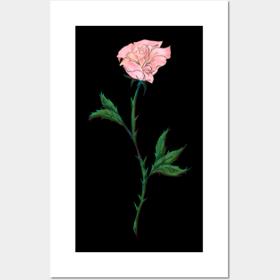 Pink Rose Posters and Art